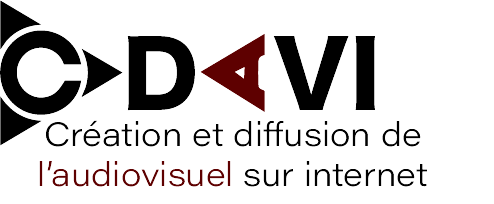 Licence Professionnelle CDAVI